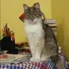 Отзыв от Нина Фетисова